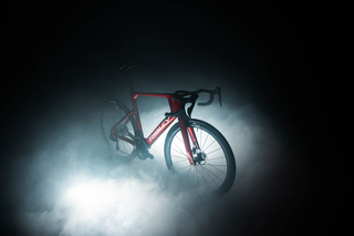 Ridley Custom