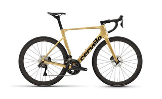 Cervelo Soloist Ultegra Di2 Gold Dust