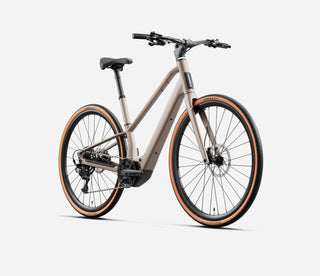 Orbea Carpe 25 Nickel